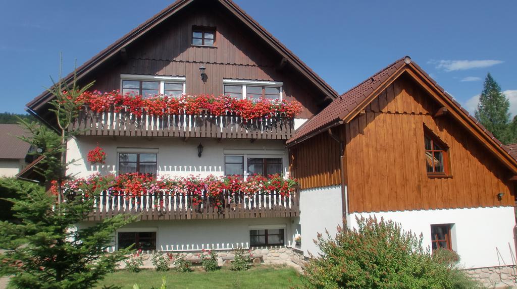 Apartmány Votočkovi Rokytnice nad Jizerou Exterior foto